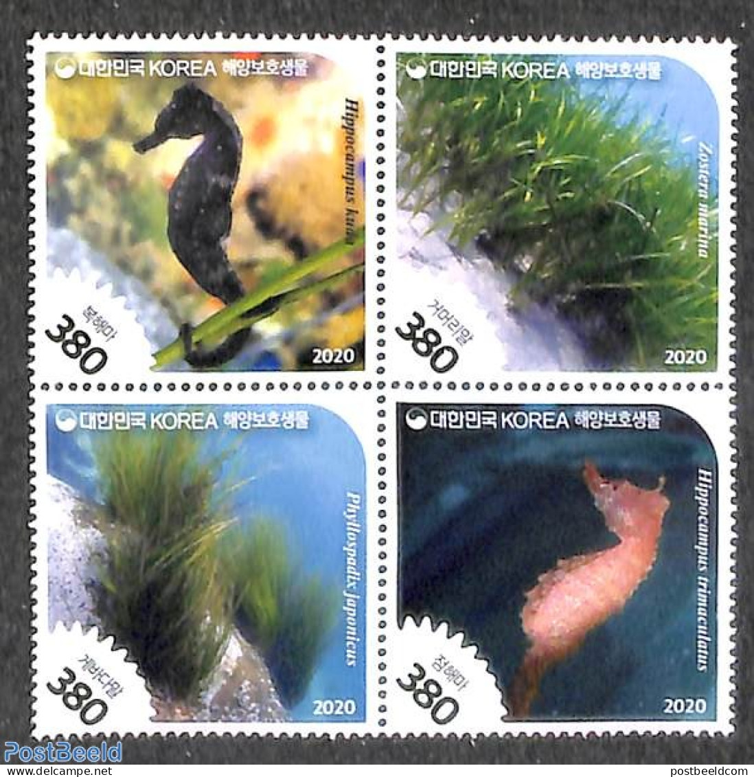 Korea, South 2020 Water Protection 4v [+], Mint NH, Nature - Fish - Peces