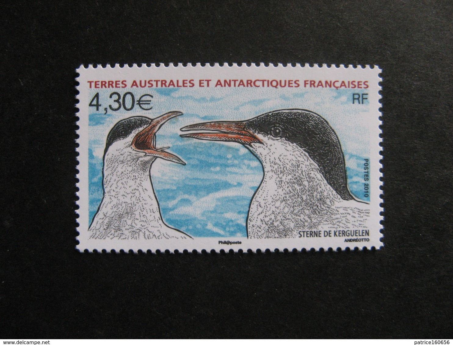 TAAF:  TB N° 553, Neuf XX. - Unused Stamps