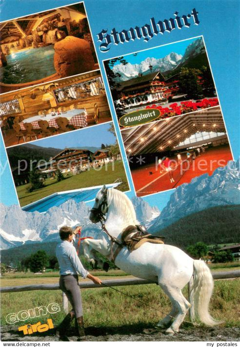 73655392 Going Wilden Kaiser Tirol Millionenhengst Pluto Verona Lipizzaner Hotel - Altri & Non Classificati