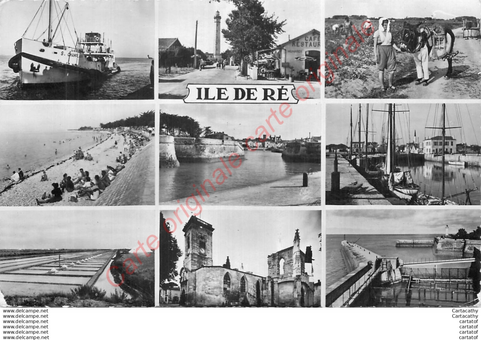 17.  ILE DE RE .  CP Multivues . - Ile De Ré