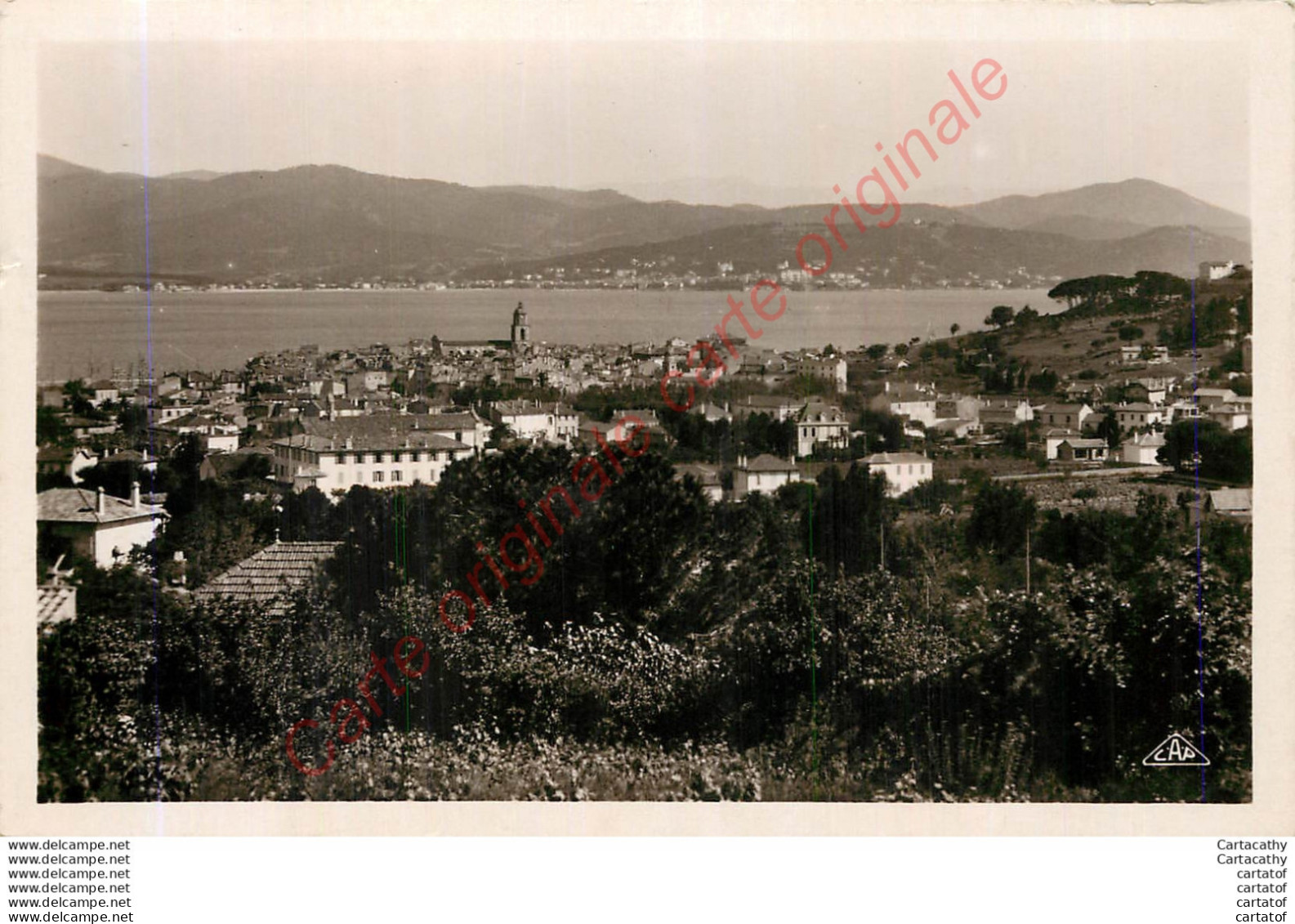 83.  SAINT TROPEZ . Vue Générale . - Saint-Tropez