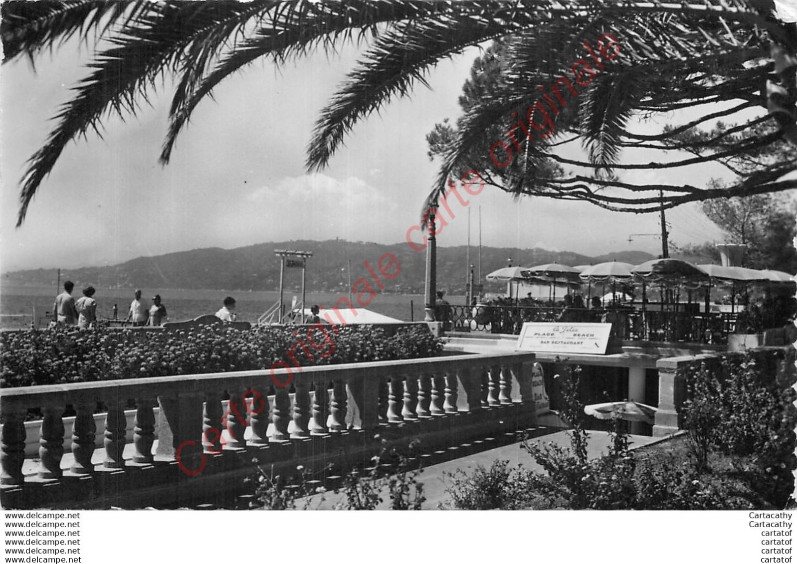 06.  JUAN LES PINS .  Les Jardins Président Roosevelt . - Juan-les-Pins