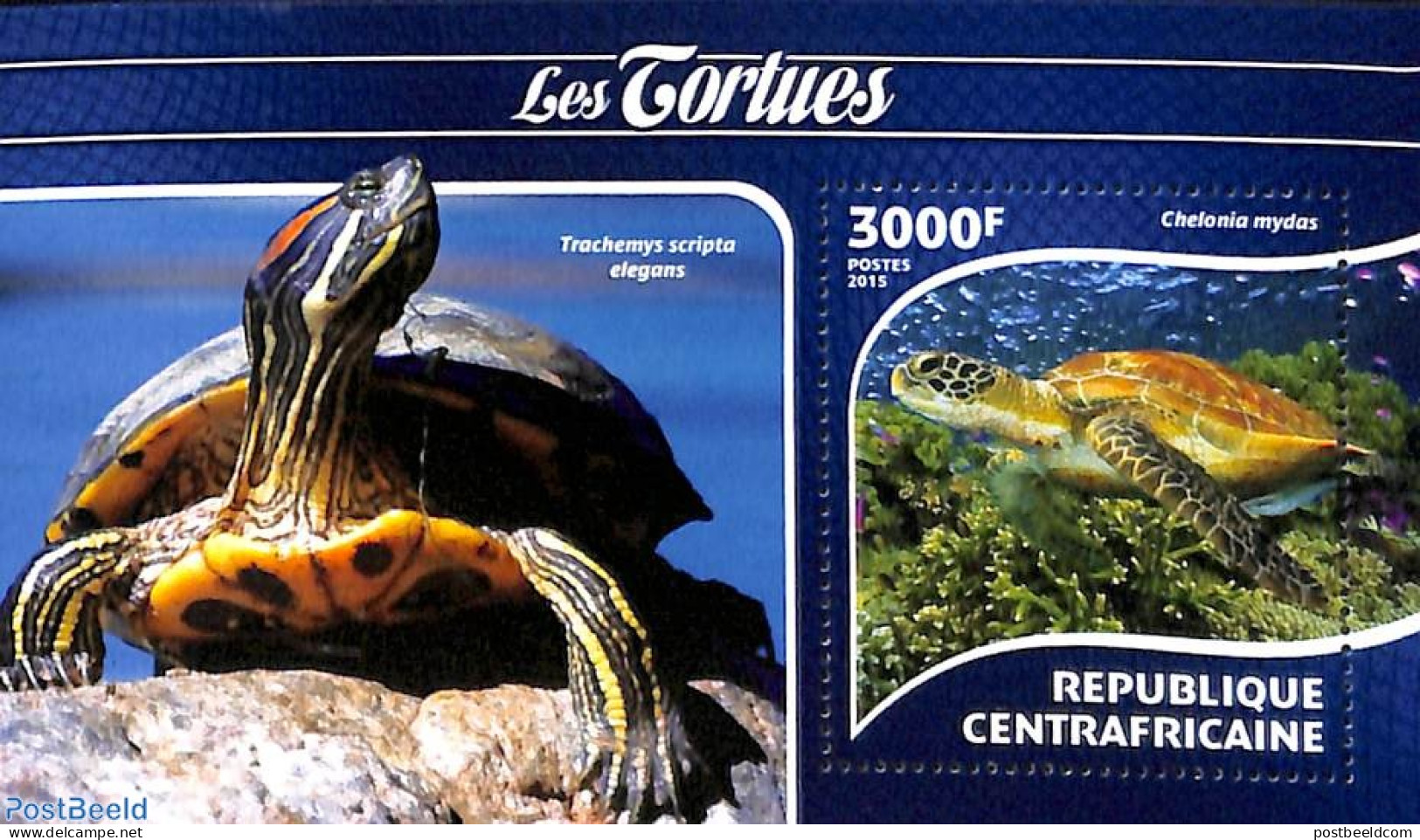 Central Africa 2015 Turtles S/s, Mint NH, Nature - Reptiles - Turtles - Repubblica Centroafricana