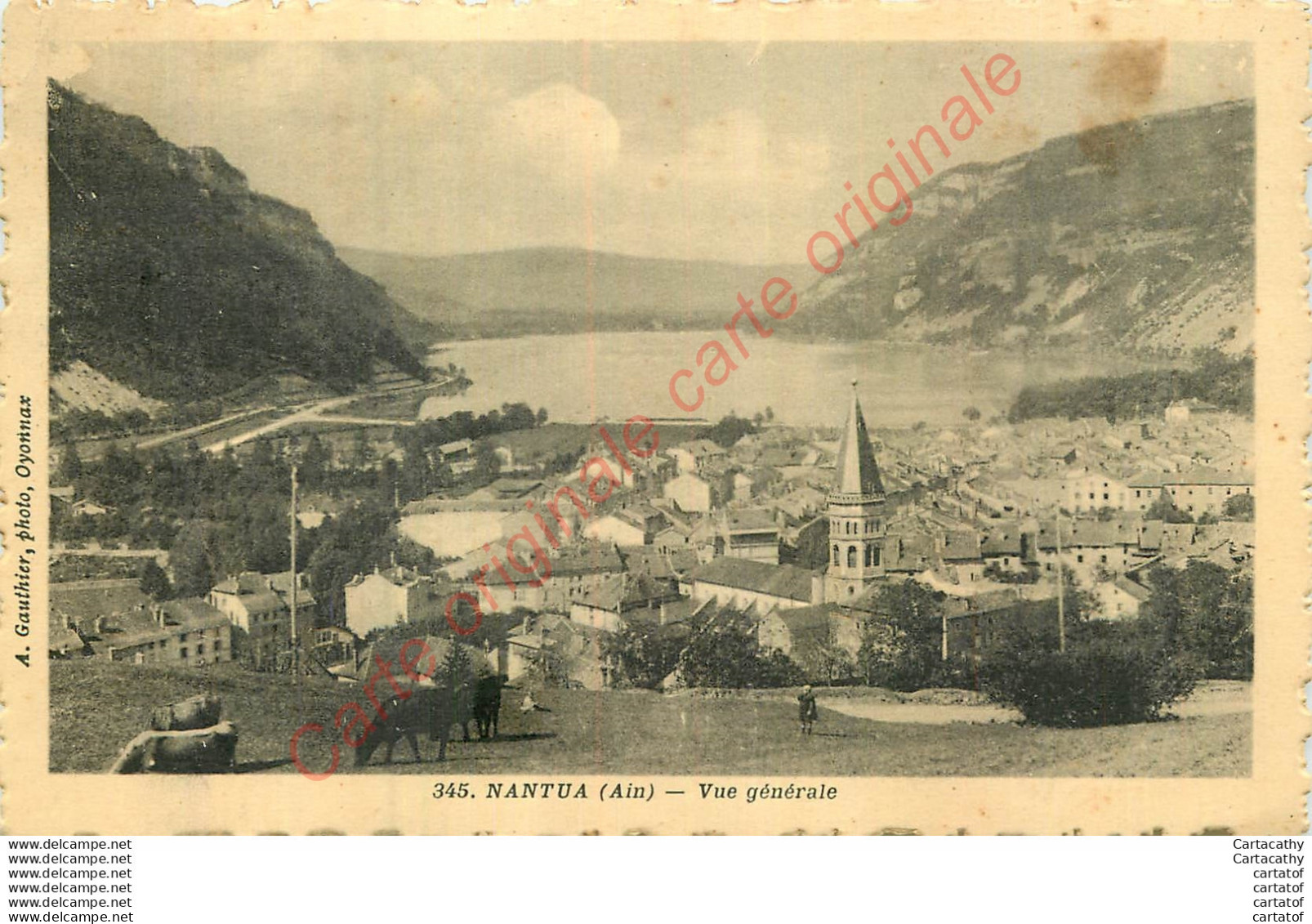 01.  NANTUA .  Vue Générale . - Nantua