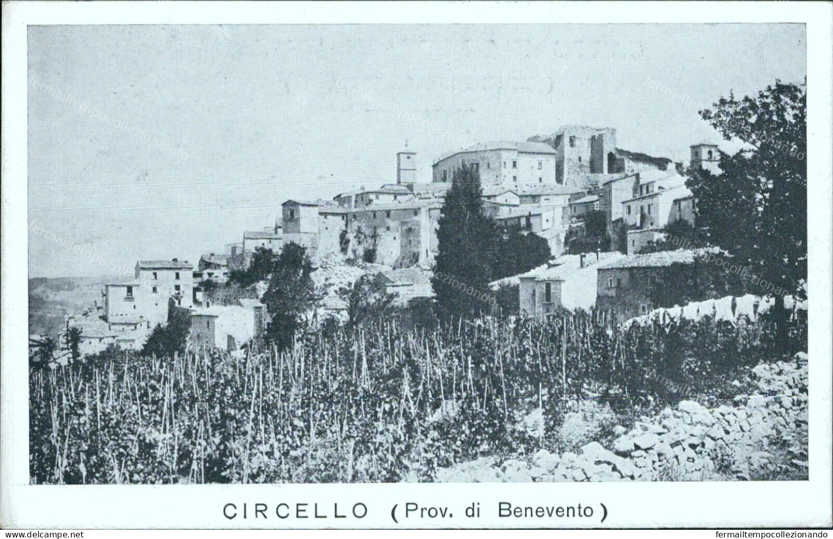 V783 Cartolina Circello Provincia Di Benevento - Benevento