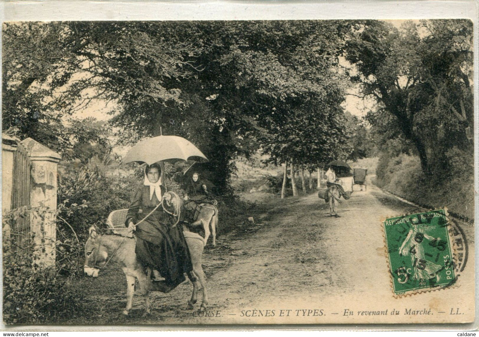 -2B - CORSE   - SCENES Et TYPES -  En Revenant Du Marché - Autres & Non Classés