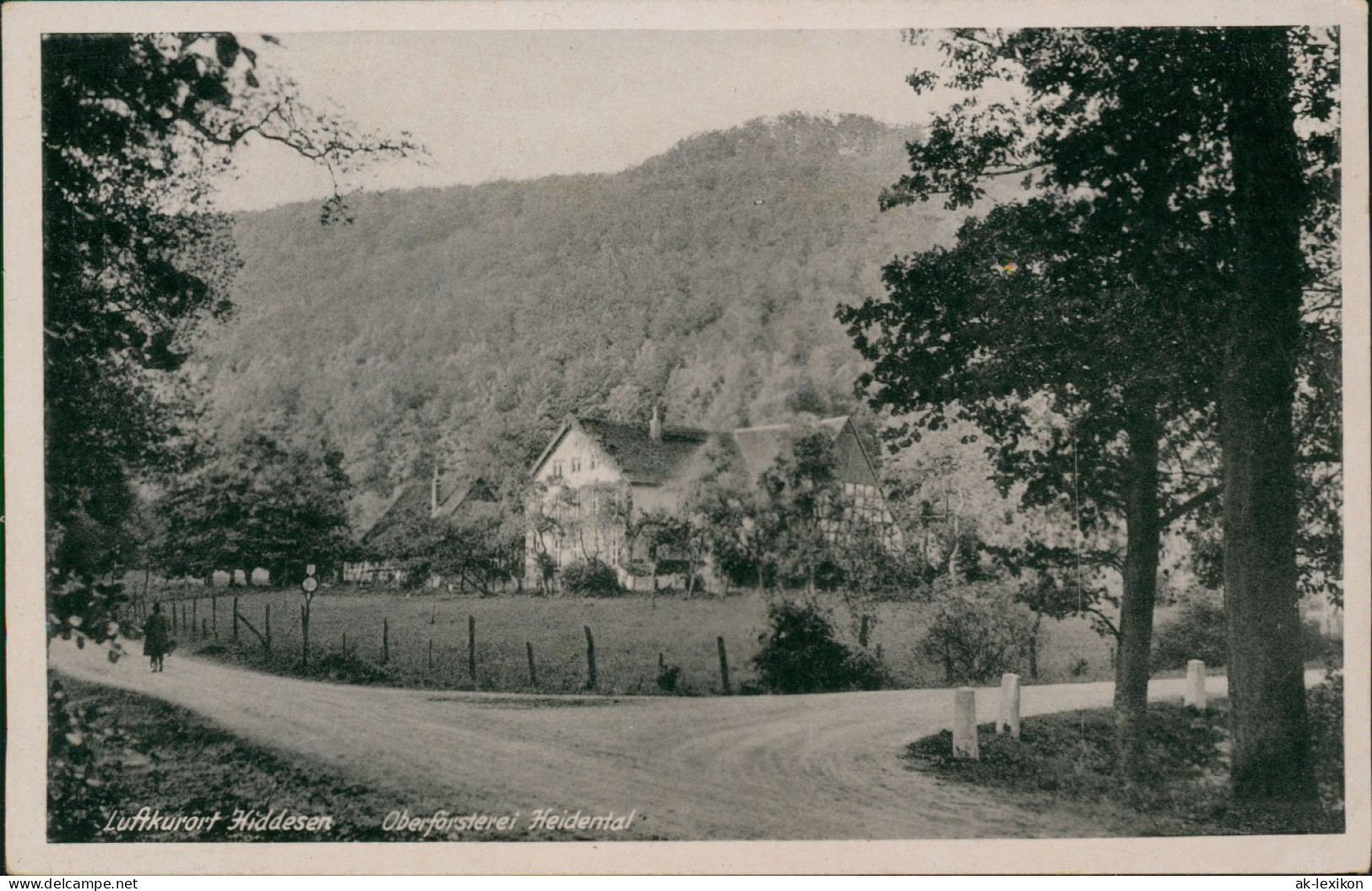 Hiddesen-Detmold Luftkurort Hiddesen Oberförsterei Heidental 1930 - Detmold