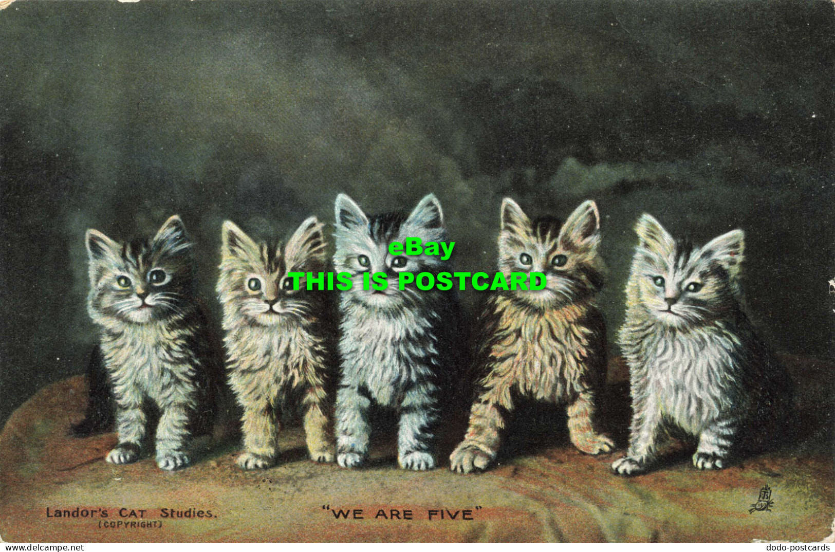R568752 Landors Cat Studies. We Are Five. Tuck. Cat Studies Series 6495. 1904 - World