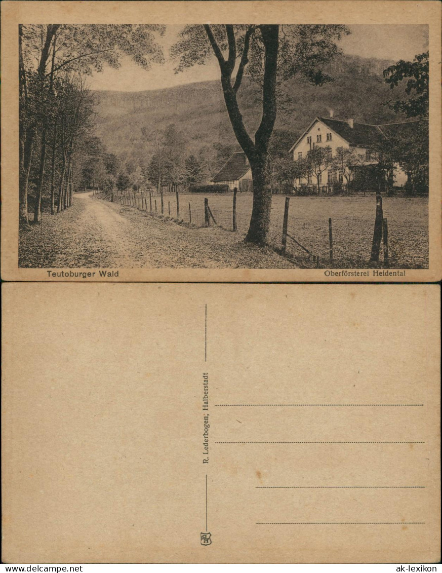 Hiddesen-Detmold Umland Teutoburger Wald Oberförsterei Heidental 1920 - Detmold