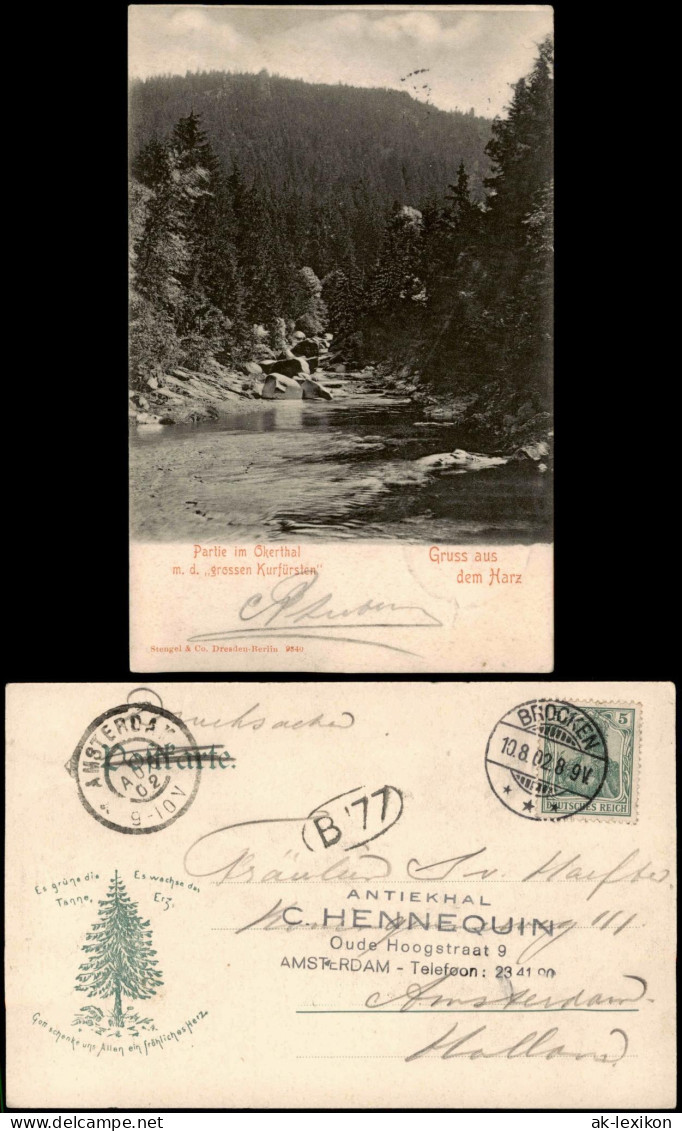 Ansichtskarte Oker-Goslar Partie Okerthal  1902  Gel. Ankunftsstempel Amsterdam - Goslar