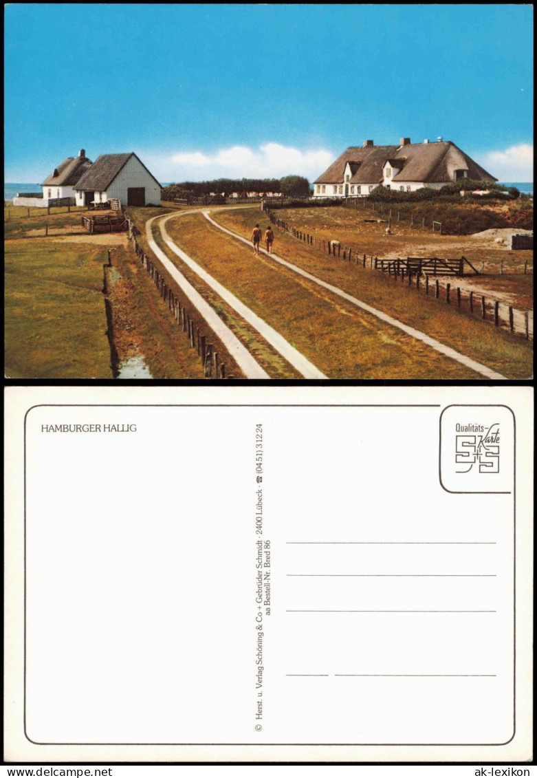 Ansichtskarte  Meer Nordsee HAMBURGER HALLIG 1980 - Altri & Non Classificati