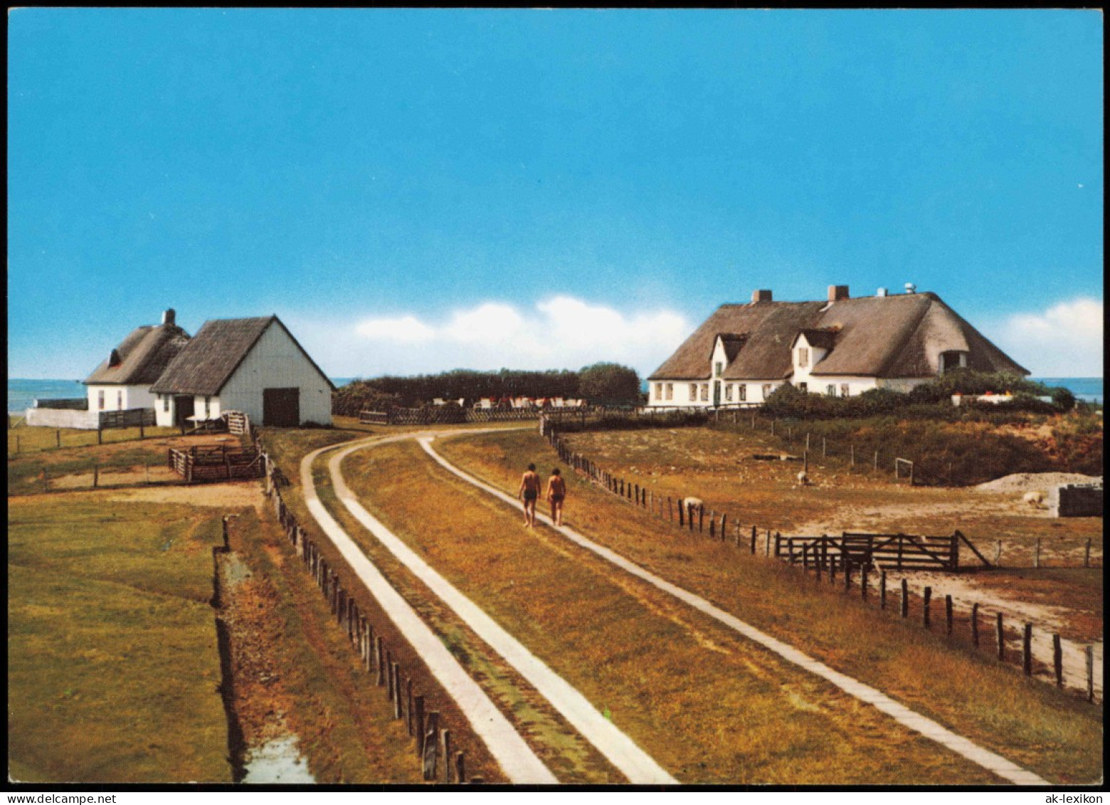 Ansichtskarte  Meer Nordsee HAMBURGER HALLIG 1980 - Altri & Non Classificati