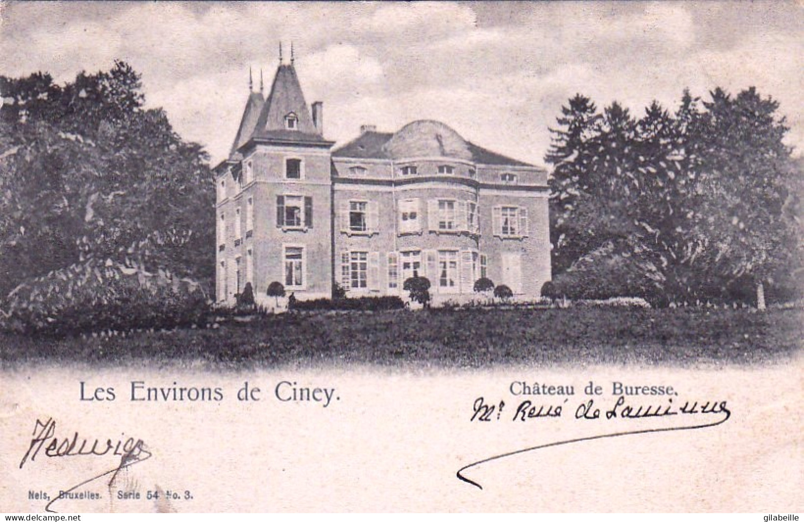 Environs De CINEY - Chateau De Buresse - Ciney