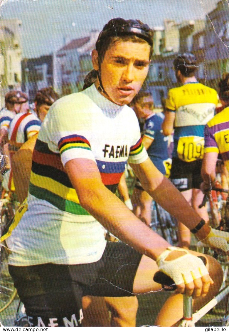 Cyclisme - Coureur Cycliste  Belge Eddy Merckx - Champion Du Monde 1967 - Cycling
