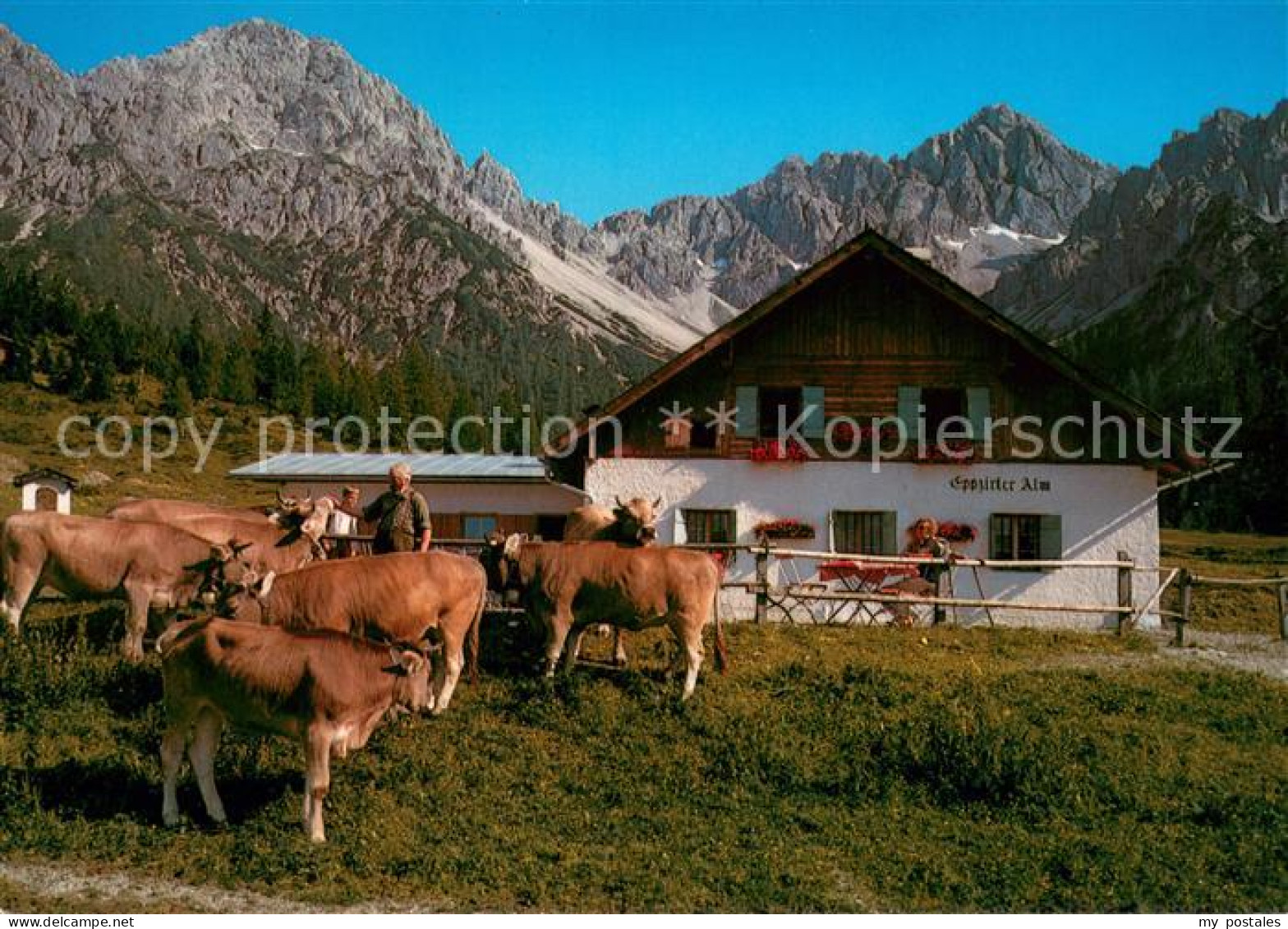 73654624 Telfs Tirol Eppzirler Alm Telfs Tirol - Autres & Non Classés