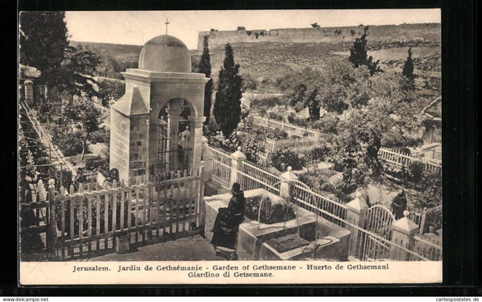 AK Jerusalem, Garden Of Gethsemane  - Palestina