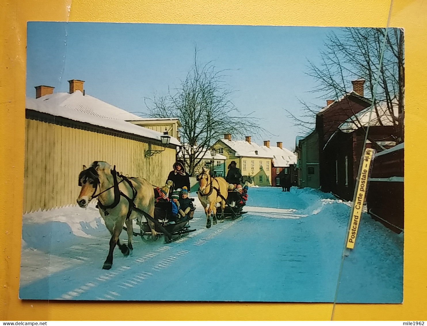 KOV 535-3 - LINKOPING, SWEDEN, HORSE, CHEVAL - Suède