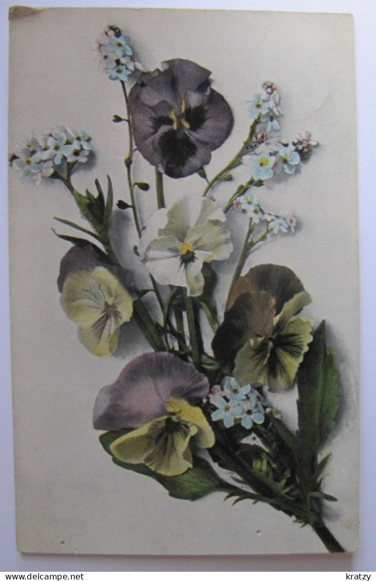 FLEURS - Pensées - 1908 - Flowers