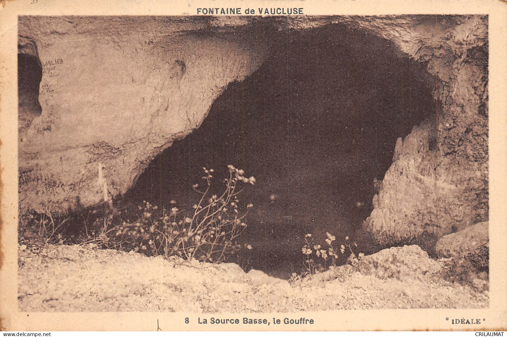 84-FONTAINE DE VAUCLUSE-N°T5085-E/0199 - Other & Unclassified