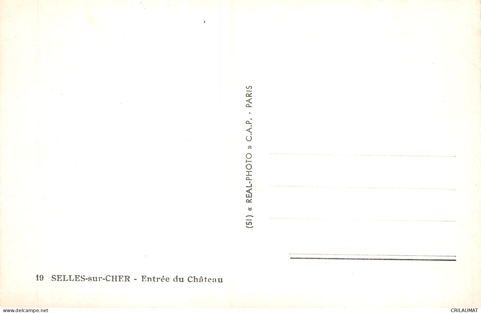 41-SELLES SUR CHER-N°T5086-A/0187 - Selles Sur Cher