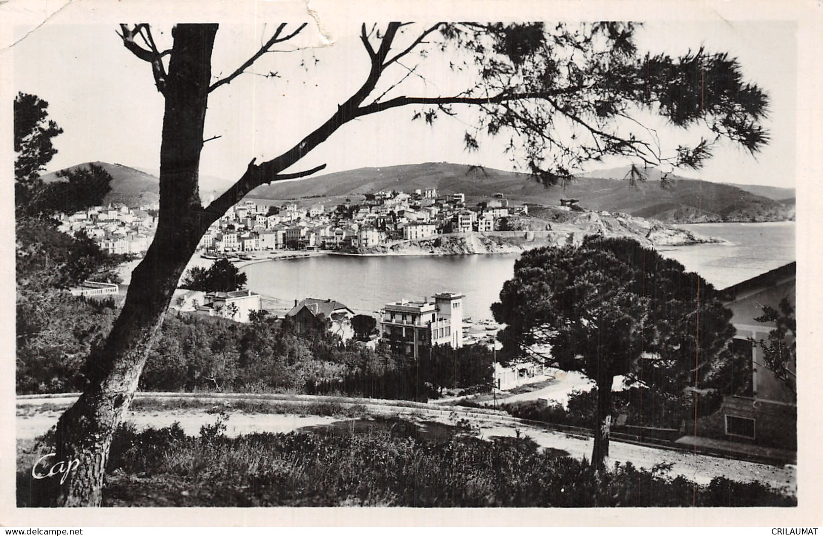 66-BANYULS SUR MER-N°T5086-D/0033 - Banyuls Sur Mer