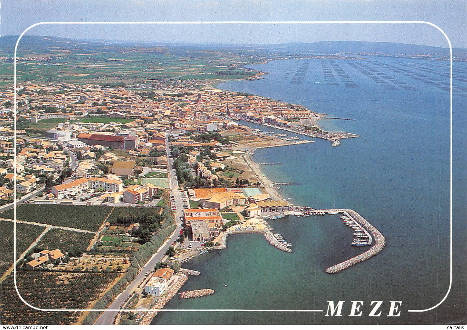 34-MEZE-N° 4455-B/0033 - Mèze