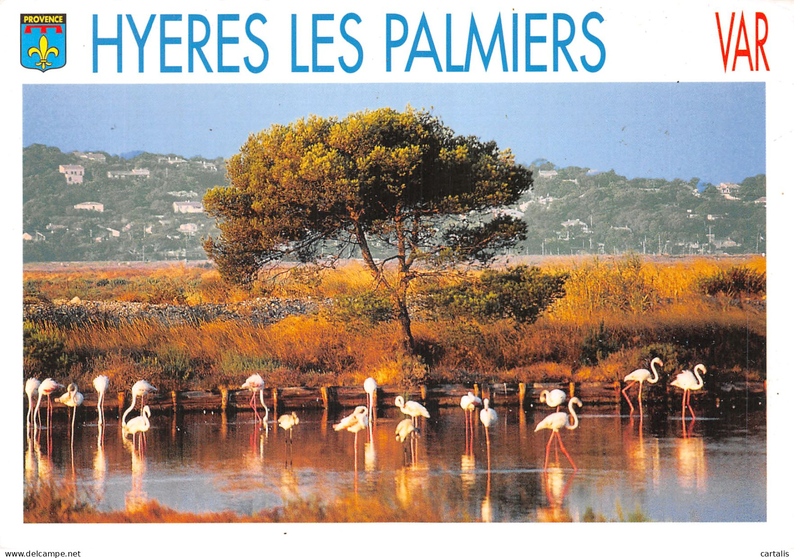 83-HYERES LES PALMIERS-N° 4455-A/0383 - Hyeres