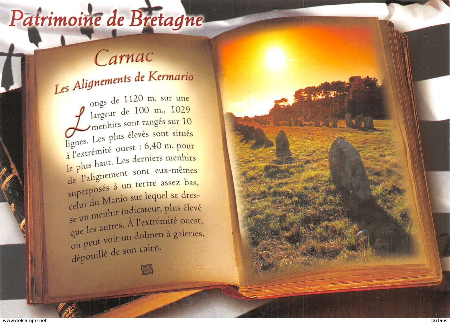 56-CARNAC-N° 4455-A/0363 - Carnac