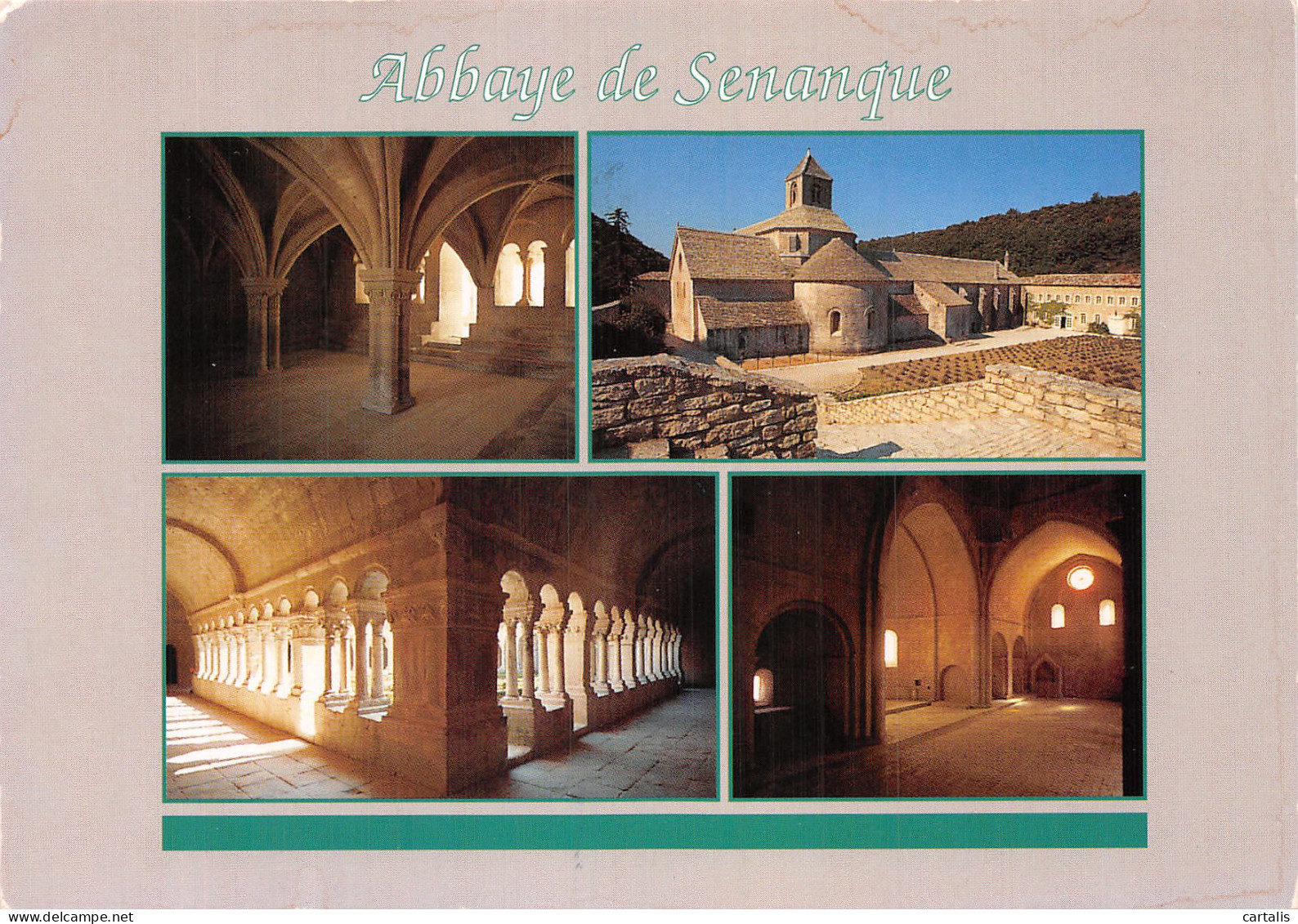 84-GORDES ABBAYE DE SENANQUE-N° 4455-A/0171 - Gordes