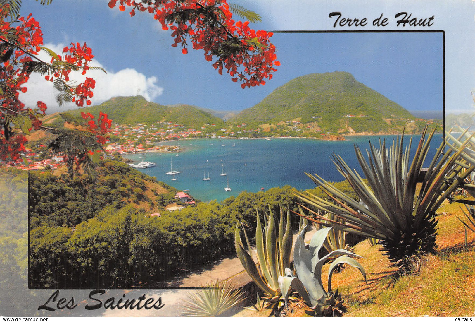 971-LES SAINTES-N° 4455-A/0099 - Autres & Non Classés