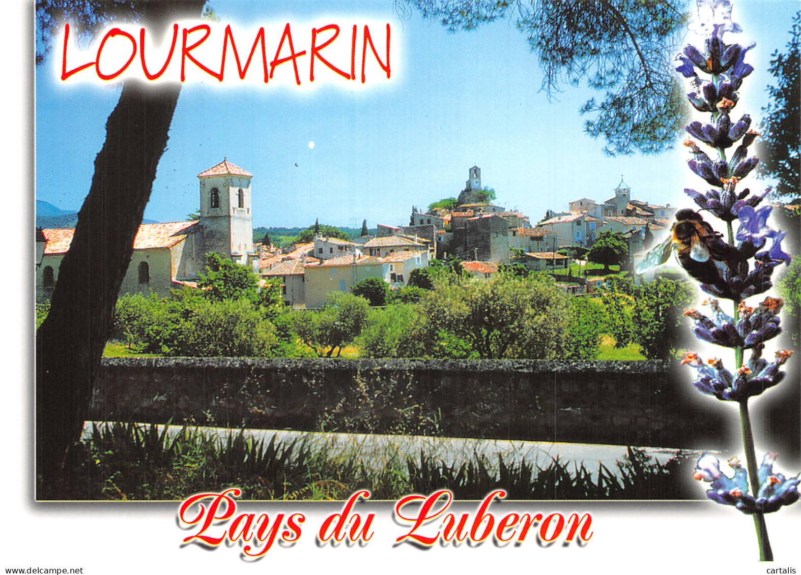 84-LOURMARIN-N° 4455-A/0011 - Lourmarin