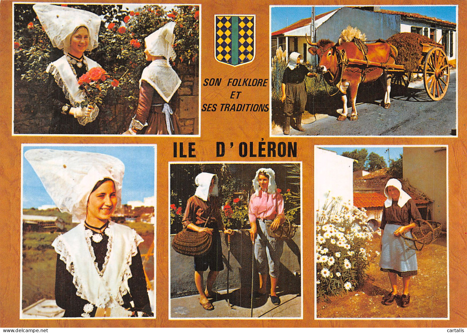 17-ILE D OLERON-N° 4455-C/0341 - Ile D'Oléron
