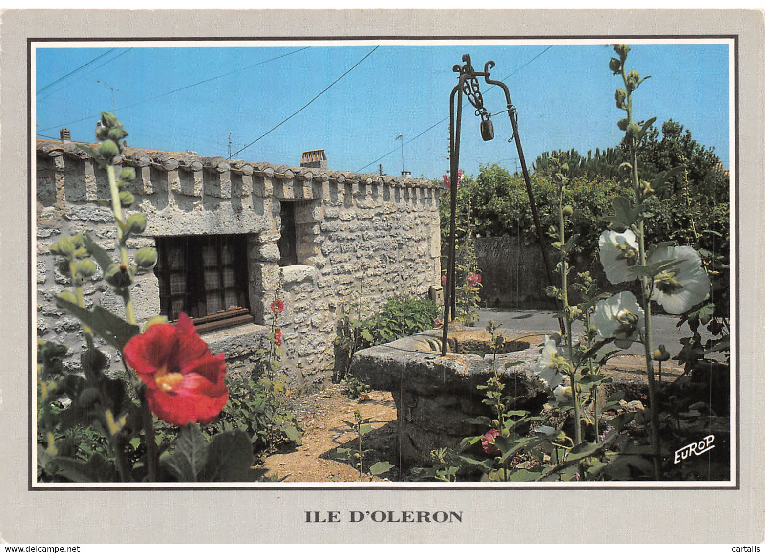 17-ILE D OLERON-N° 4455-C/0331 - Ile D'Oléron