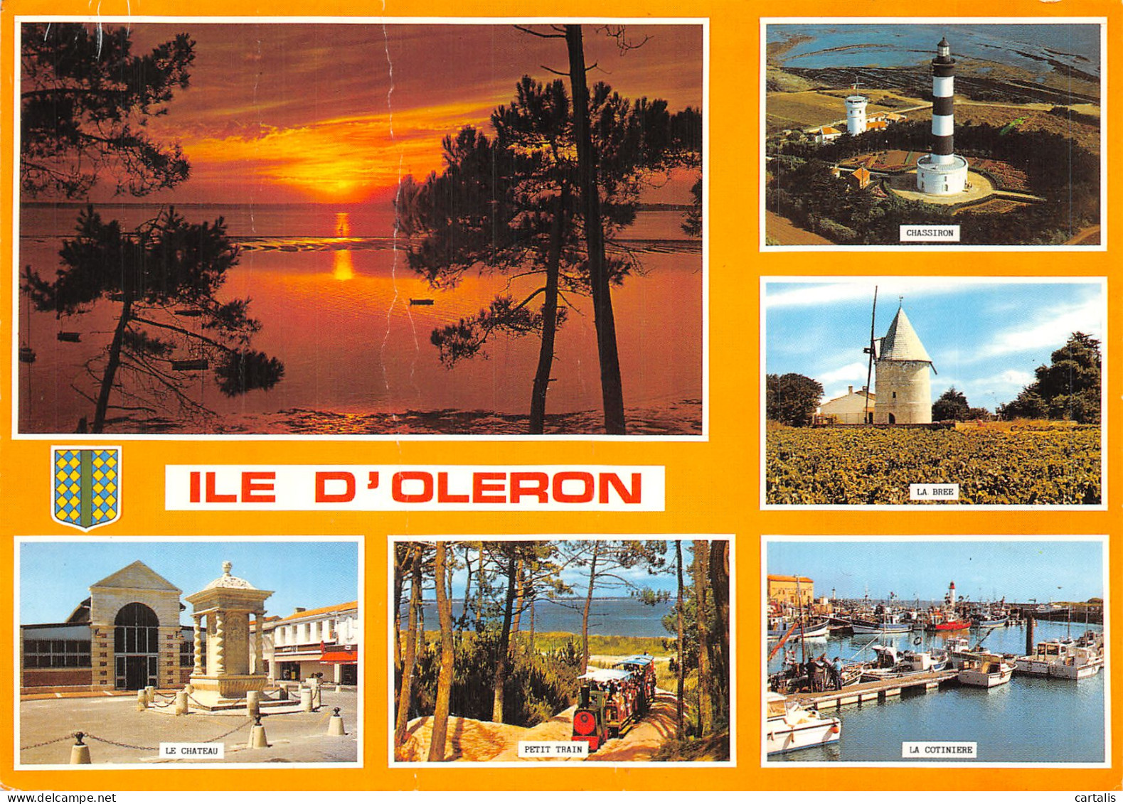 17-ILE D OLERON-N° 4455-C/0293 - Ile D'Oléron