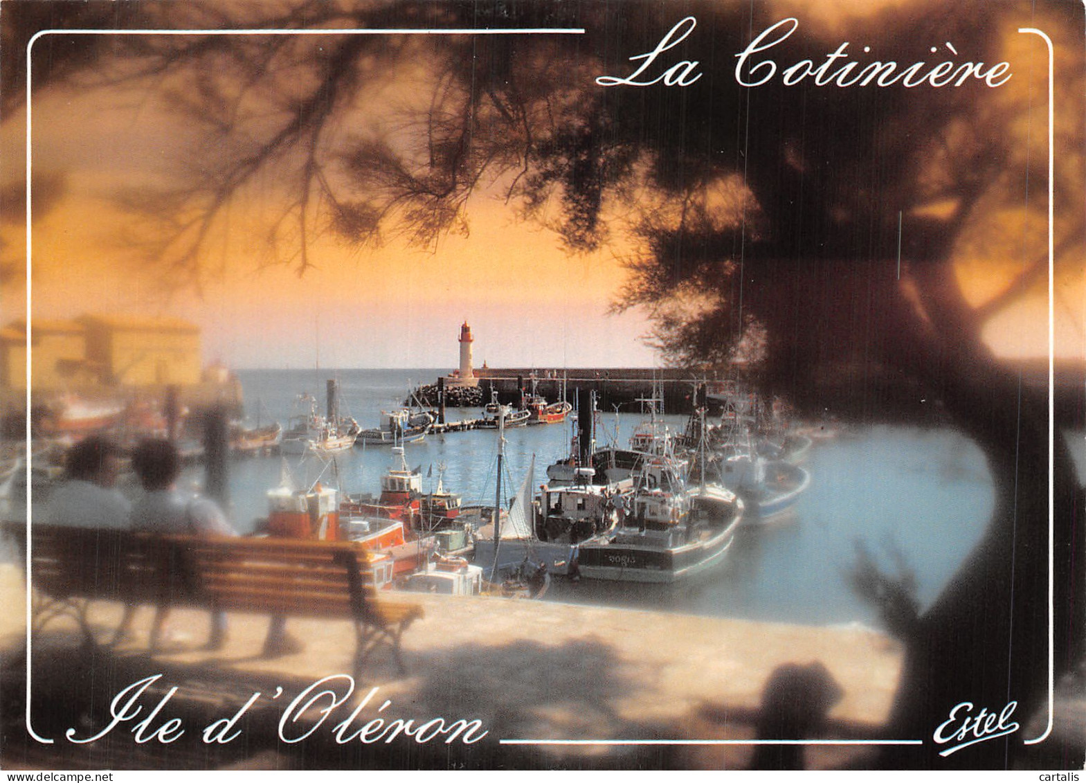 17-ILE D OLERON-N° 4455-C/0297 - Ile D'Oléron