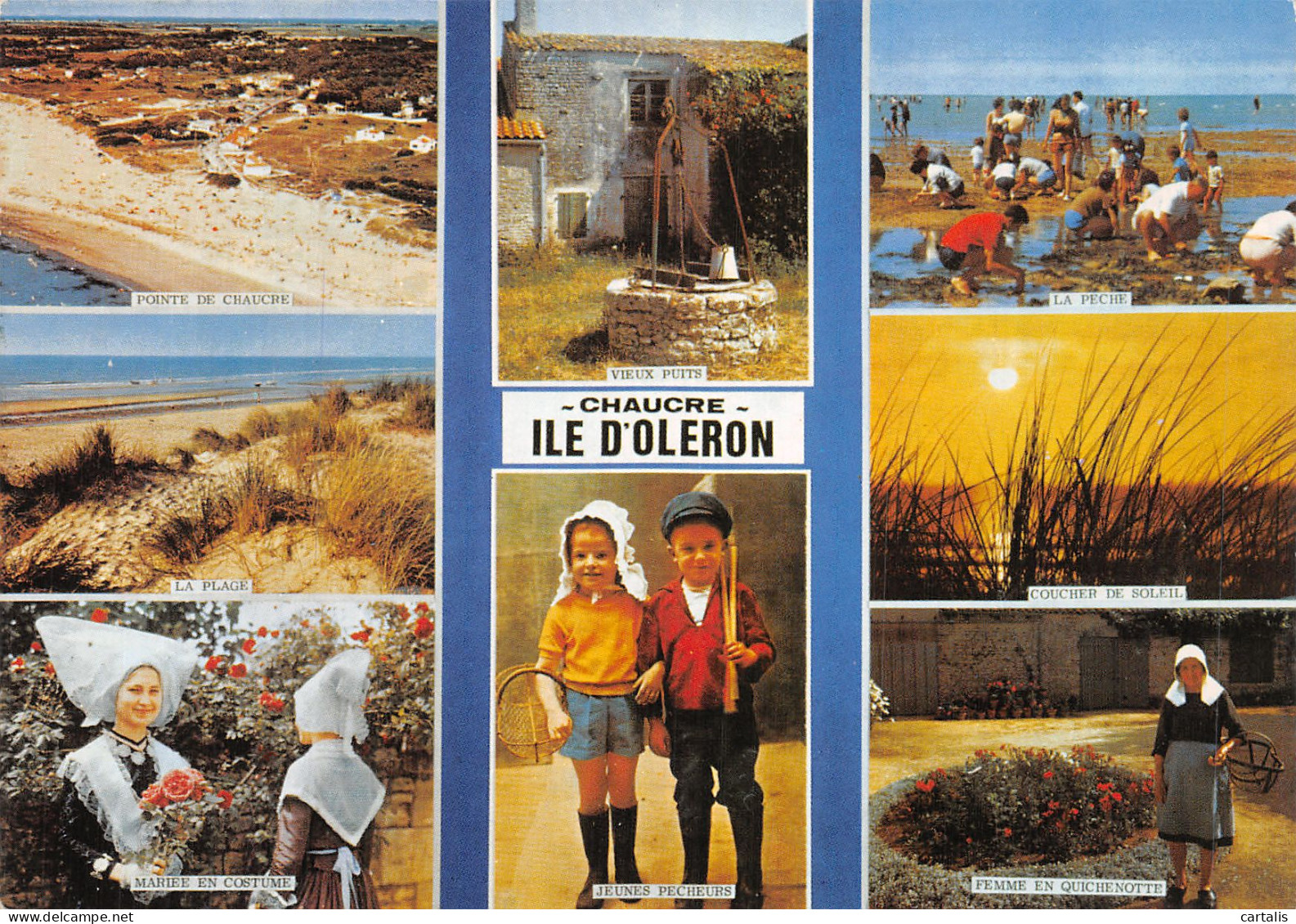 17-ILE D OLERON-N° 4455-C/0281 - Ile D'Oléron