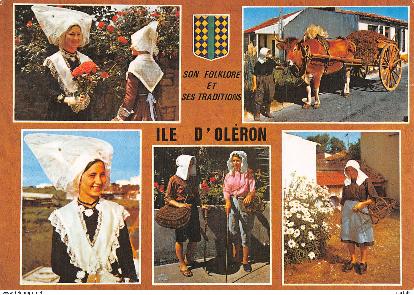 17-ILE D OLERON-N° 4455-C/0275 - Ile D'Oléron