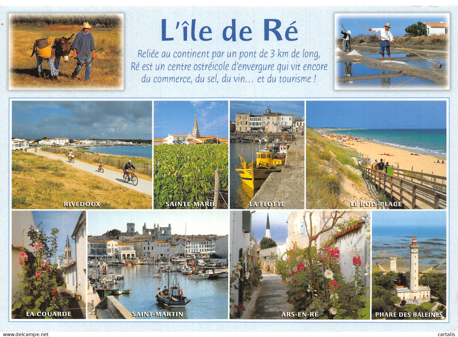 17-ILE DE RE-N° 4455-C/0247 - Ile De Ré
