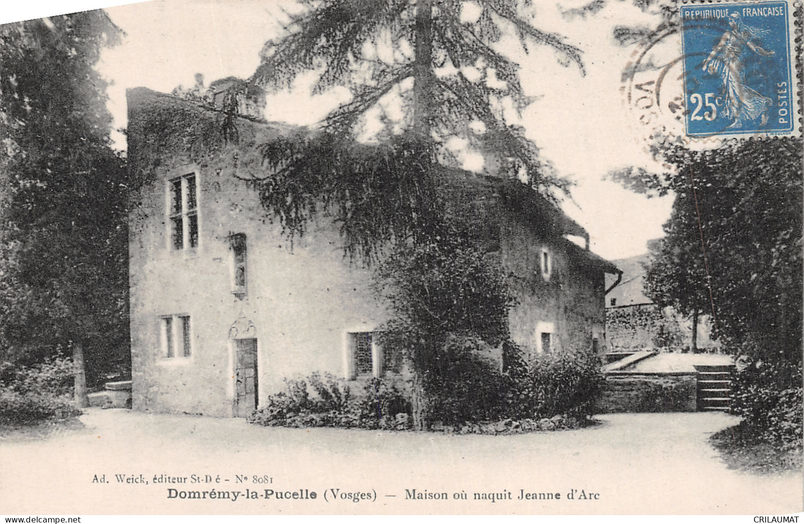 88-DOMREMY LA PUCELLE-N°T5087-B/0223 - Domremy La Pucelle