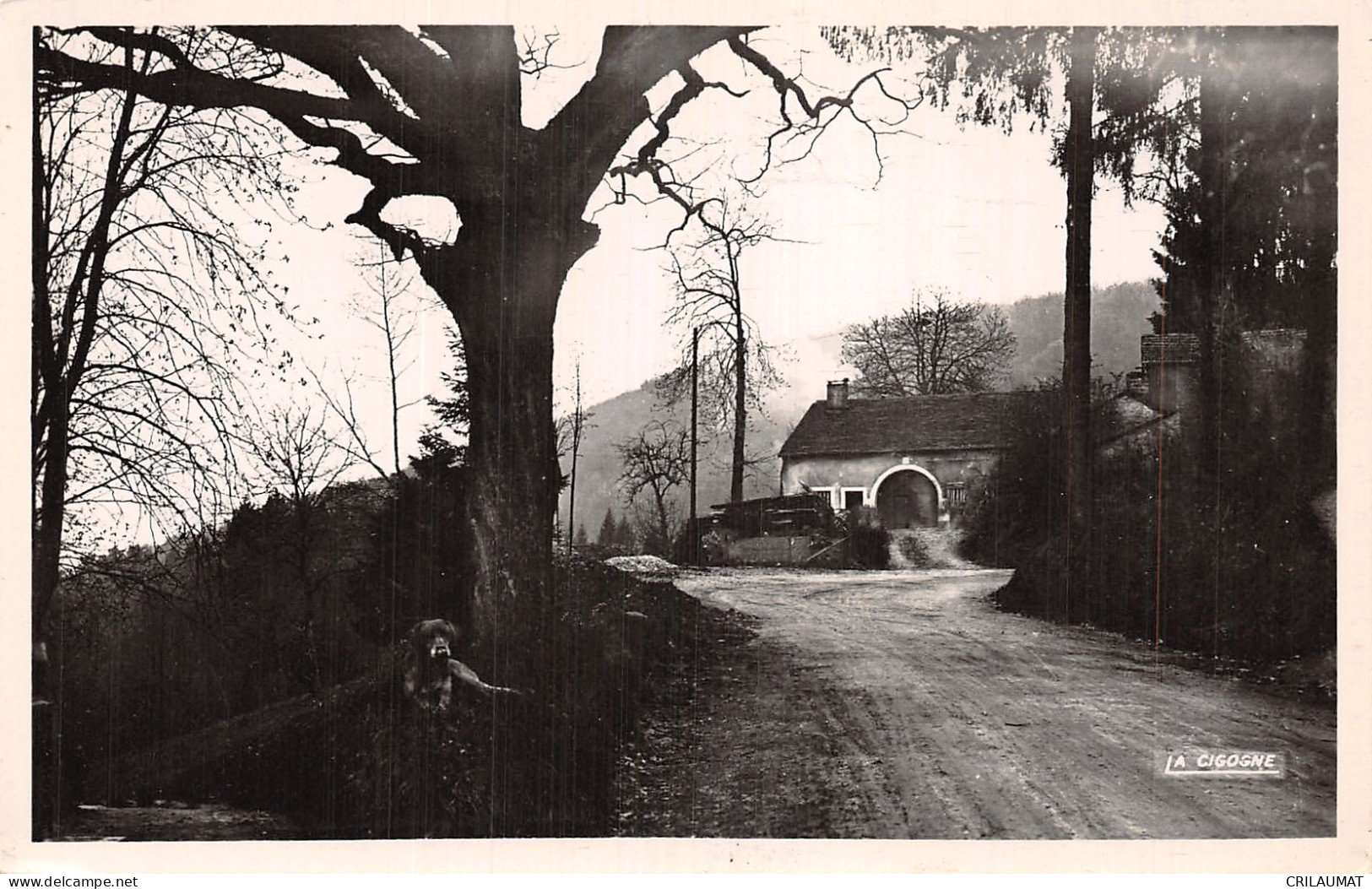 88-PLOMBIERES LES BAINS-N°T5087-A/0247 - Plombieres Les Bains