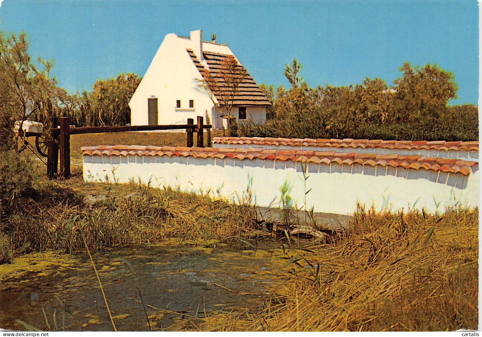 13-EN CAMARGUE-N° 4456-C/0017 - Autres & Non Classés