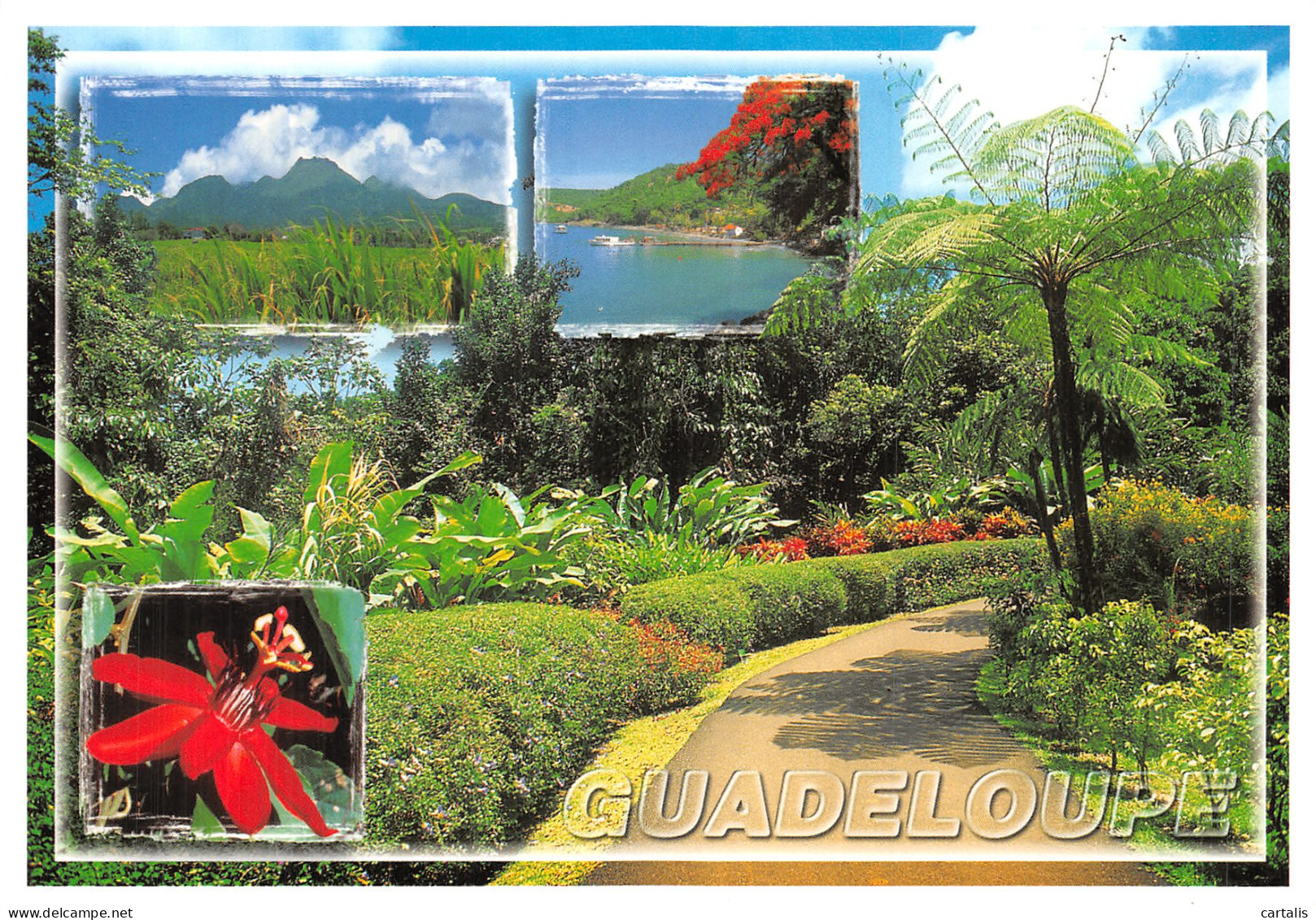 971-GUADELOUPE-N° 4456-B/0219 - Autres & Non Classés