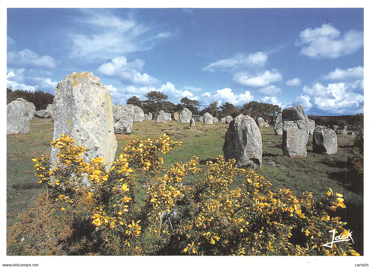 56-CARNAC-N° 4456-A/0395 - Carnac