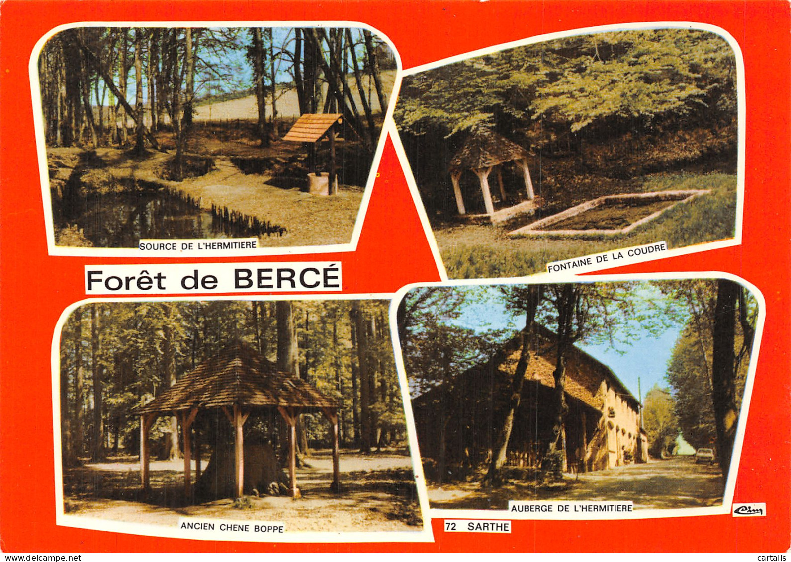 72-FORET DE BERCE-N° 4456-A/0347 - Other & Unclassified