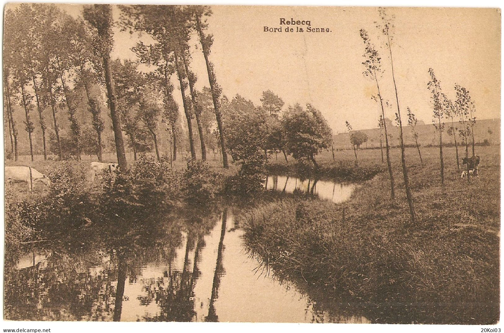 Rebecq Bord De La Senne, Brabant Wallon, TTB-CPA, Vintage - Rebecq