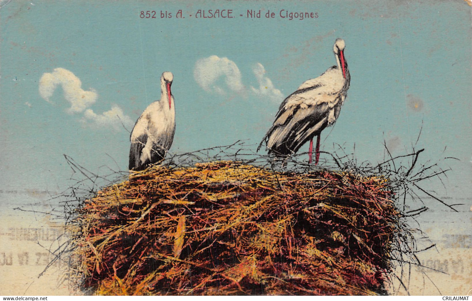 67-ALSACE-N°T5087-D/0105 - Altri & Non Classificati