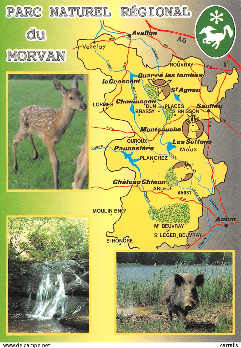 58-PARC REGIONAL DU MORVAN-N° 4456-D/0275 - Otros & Sin Clasificación