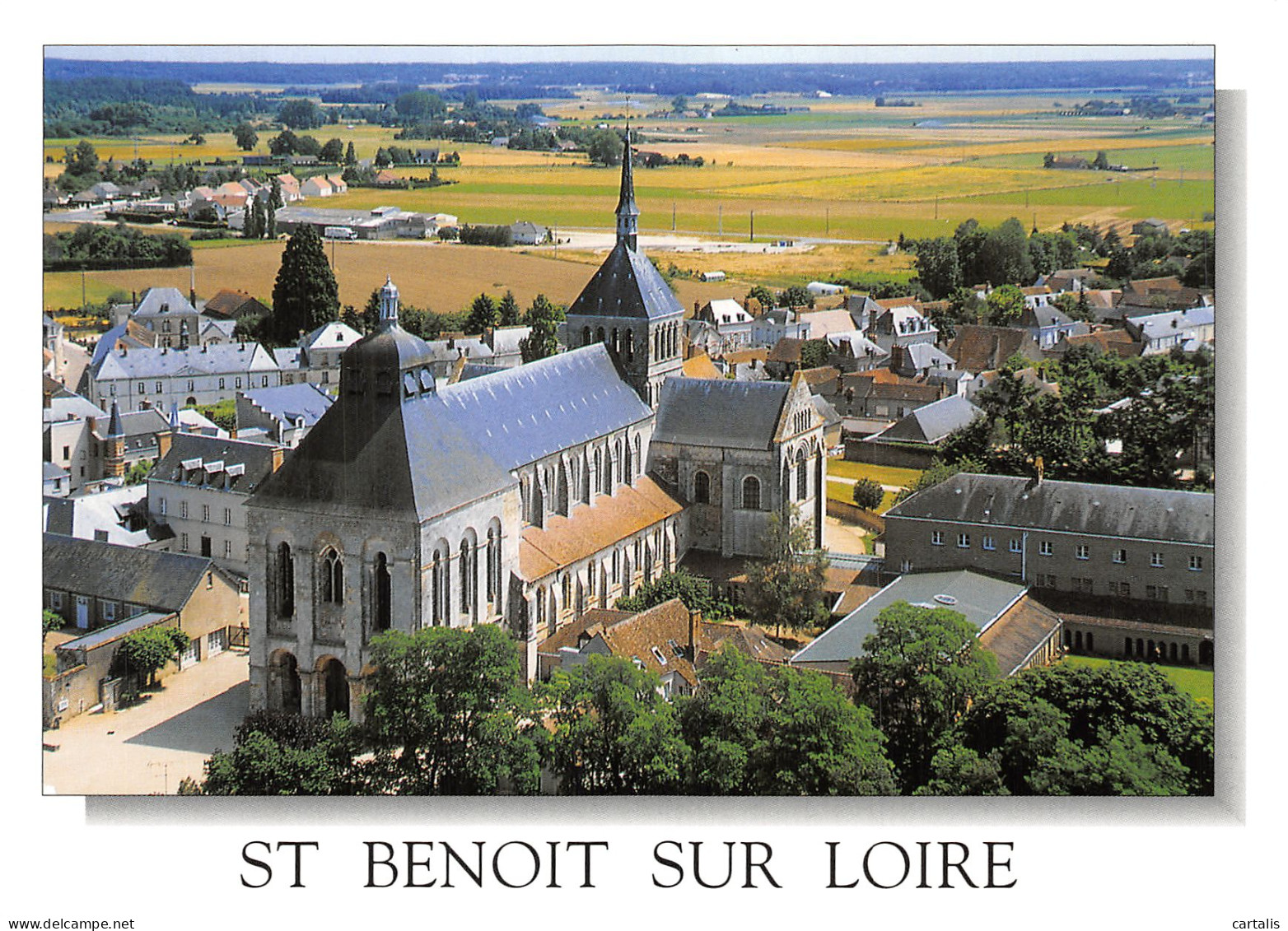 45-SAINT BENOIT SUR LOIRE-N° 4456-D/0255 - Andere & Zonder Classificatie