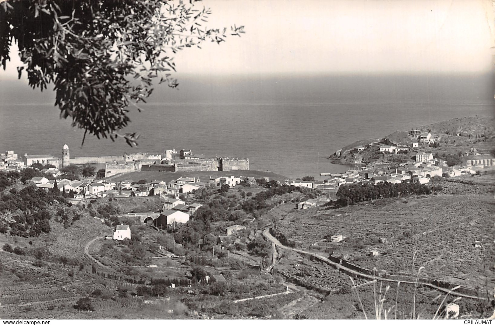 66-COLLIOURE-N°T5087-G/0315 - Collioure