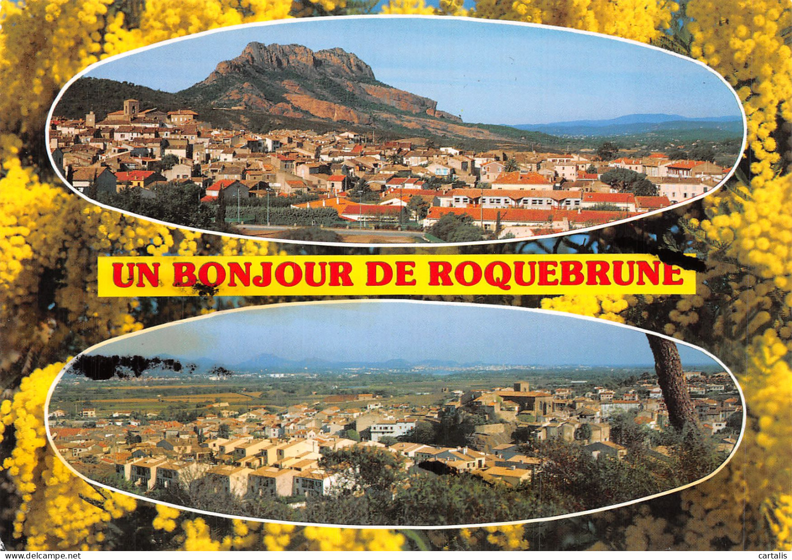 83-ROQUEBRUNE SUR ARGENS-N° 4457-D/0015 - Roquebrune-sur-Argens